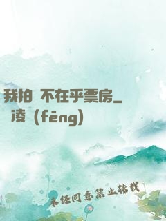 我拍戲不在乎票房