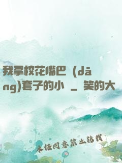我拿?；ㄗ彀彤?dāng)套子的小說