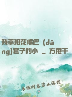 我拿班花嘴巴當(dāng)套子的小說
