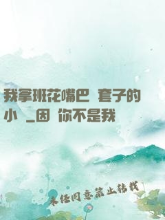 我拿班花嘴巴當套子的小說