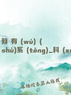我擁有無(wú)數(shù)系統(tǒng)