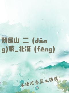 我是山賊二當(dāng)家