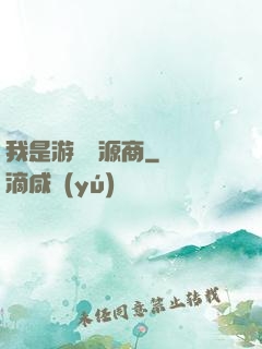 我是游戲資源商