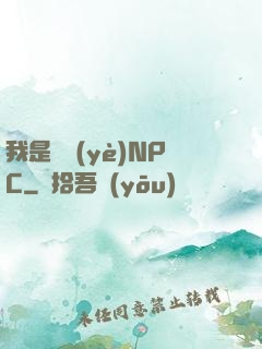 我是職業(yè)NPC