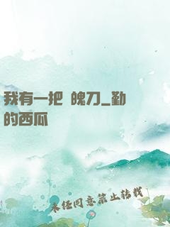 我有一把斬魄刀