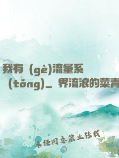 我有個(gè)流量系統(tǒng)