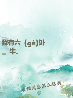 我有六個(gè)外掛