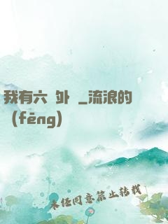 我有六個外掛