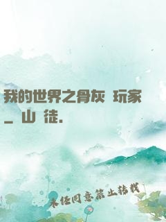 我的世界之骨灰級玩家