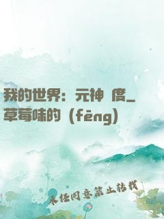 我的世界：元神國度