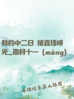 我的中二日記被直播曝光
