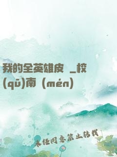 我的全英雄皮膚