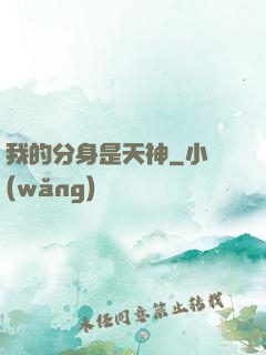 我的分身是天神