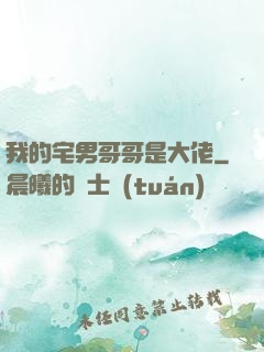 我的宅男哥哥是大佬