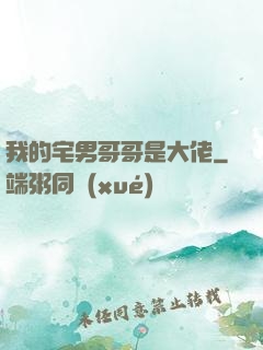 我的宅男哥哥是大佬