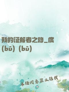 我的征服者之路