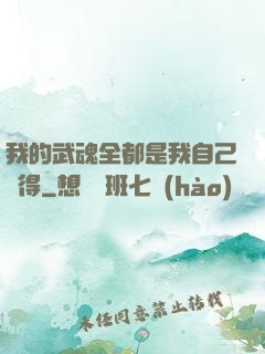 我的武魂全都是我自己變得