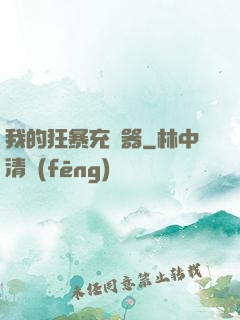 我的狂暴充電器