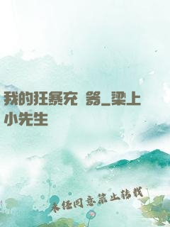 我的狂暴充電器