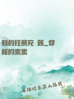 我的狂暴充電器