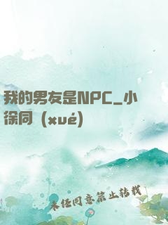 我的男友是NPC