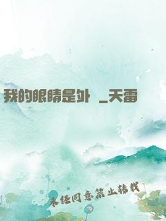 我的眼睛是外掛