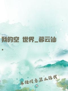 我的空島世界