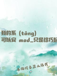 我的系統(tǒng)可以安裝mod