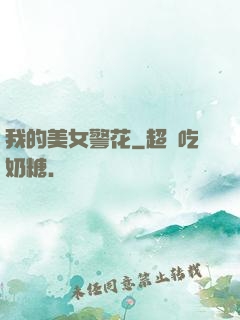 我的美女警花