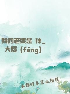 我的老婆是個神