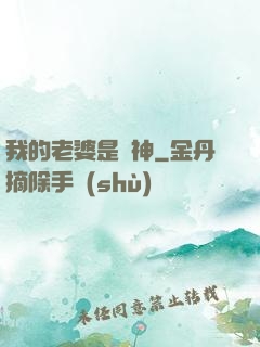 我的老婆是個神