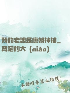 我的老婆是唐朝神捕