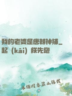 我的老婆是唐朝神捕