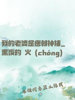 我的老婆是唐朝神捕