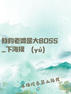 我的老婆是大BOSS