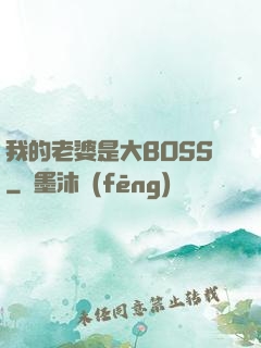 我的老婆是大BOSS