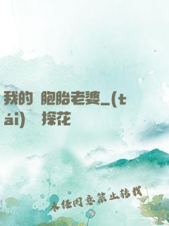 我的雙胞胎老婆