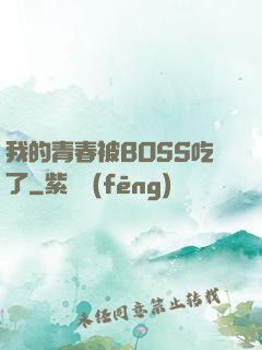 我的青春被BOSS吃了