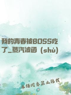我的青春被BOSS吃了