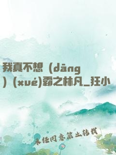 我真不想當(dāng)學(xué)霸之林凡