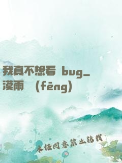 我真不想看見bug