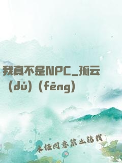 我真不是NPC