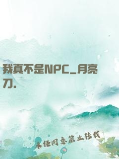 我真不是NPC