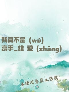 我真不是無(wú)敵高手