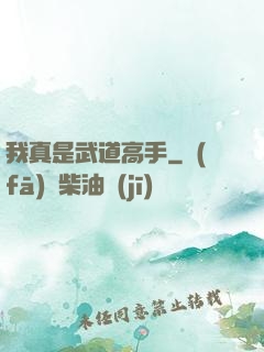 我真是武道高手
