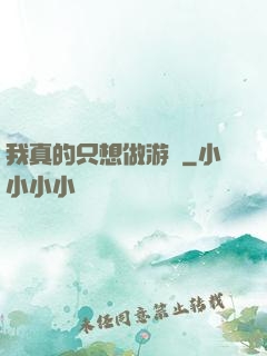 我真的只想做游戲