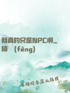 我真的只是NPC啊