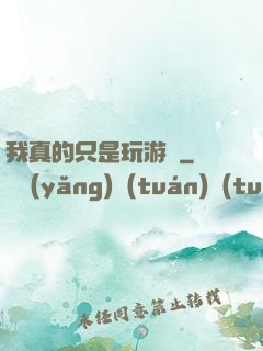 我真的只是玩游戲