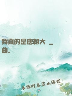 我真的是唐朝大將