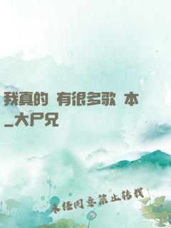 我真的沒有很多歌詞本